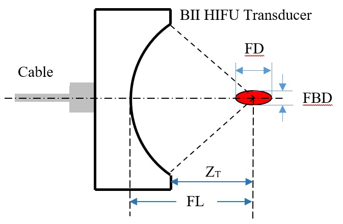 HIFU Transducer